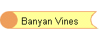 Banyan Vines