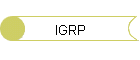 IGRP